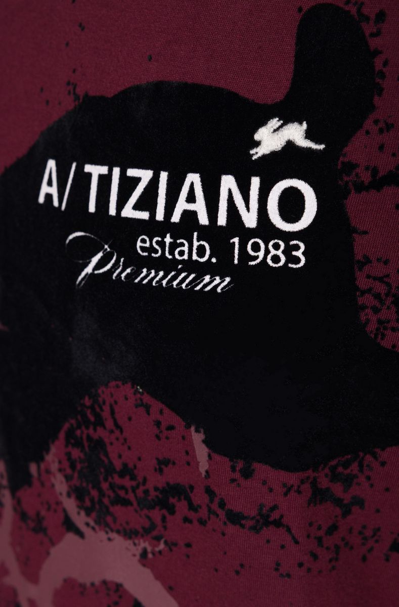 CARDI | MENS GRAPHIC CREW NECK (CRANBERRY)