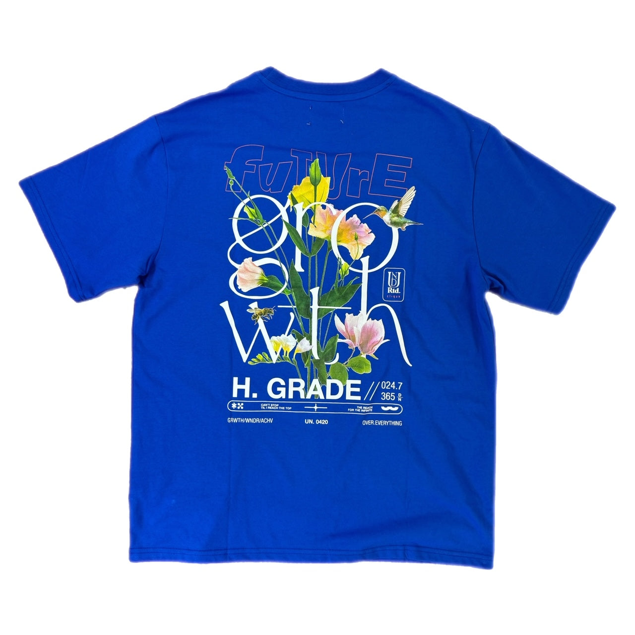 MENS HIGHLY UNDRTD FUTURE GROWTH T-SHIRT (ROYAL)