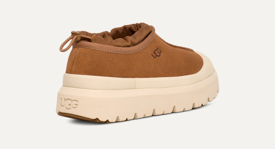 ALL GENDER UGG TASMAN WEATHER HYBRID (CHESTNUT / WHITECAP)